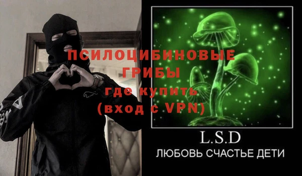 гашик Алексин