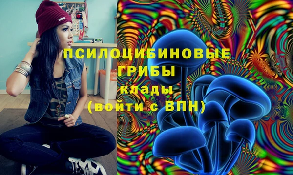 ГАЛЛЮЦИНОГЕННЫЕ ГРИБЫ Алзамай