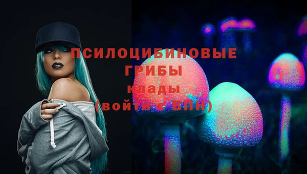 прущие крисы Абаза