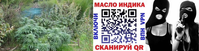 как найти   Хасавюрт  ТГК THC oil 