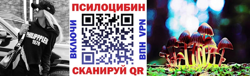 Псилоцибиновые грибы Cubensis  Хасавюрт 