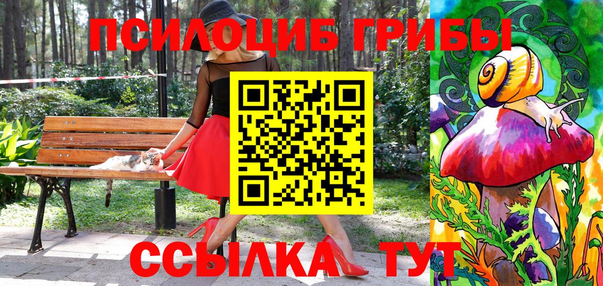 Хасавюрт  Галлюциногенные грибы MAGIC MUSHROOMS  Вход с VPN  Псилоцибиновые грибы Psilocybe 